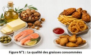 La qualité des graisses https://www.nadiakadri.co